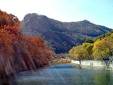 澳门二四六天天彩图库，房山网站建设